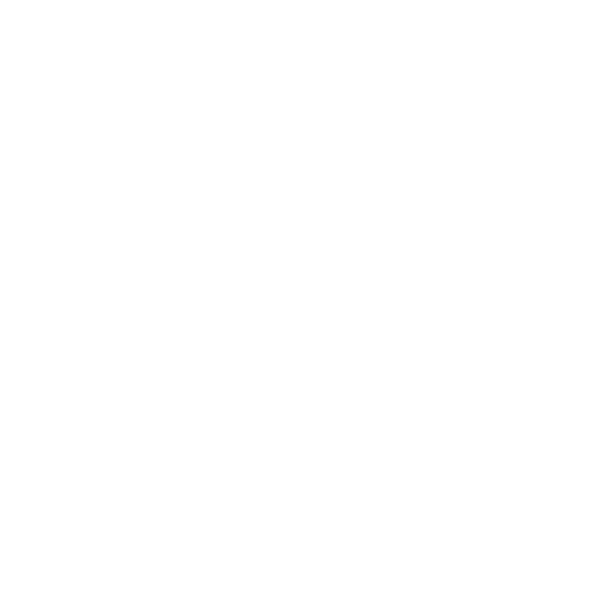 Chiropractie Centraal logo wit